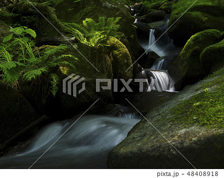 岩苔の流れ　沌滝（富山県） 48408918