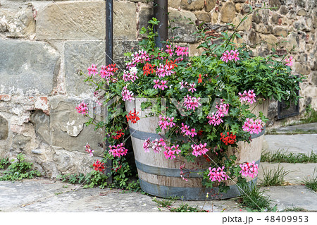 Beautiful flowers in front of stone wall Beautiful flowers in front of stone wall 48409953