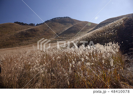 曽爾高原/奈良県 曽爾高原/奈良県 48410078