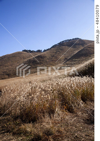 曽爾高原/奈良県 48410079