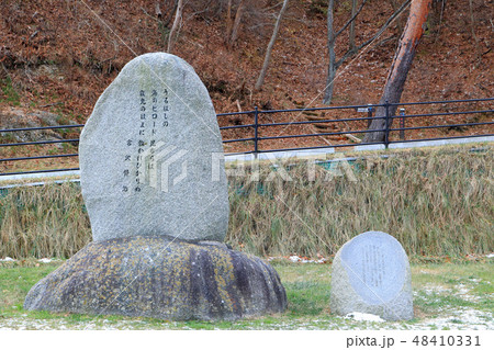 浄土ヶ浜の宮沢賢治歌碑 48410331