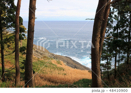 潮吹穴へと続く崎山自然観察路 潮吹穴へと続く崎山自然観察路 48410900