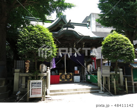 台東区の小野照崎神社 台東区の小野照崎神社 48411142