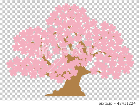 桜の木のイラスト素材