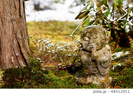 三千院わらべ地蔵 三千院わらべ地蔵 48412051