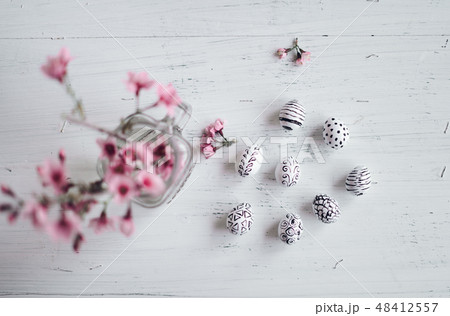 Pink flower Spring blossom pink flowers Beautiful Pink flower Spring blossom pink flowers Beautiful 48412557