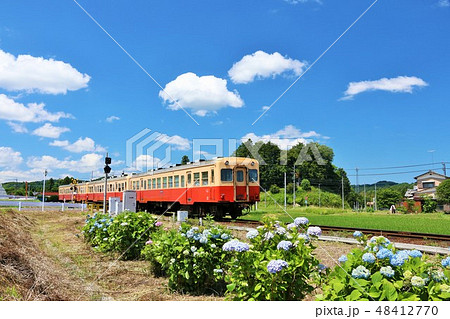 初夏の青空 紫陽花と小湊鉄道 初夏の青空 紫陽花と小湊鉄道 48412770
