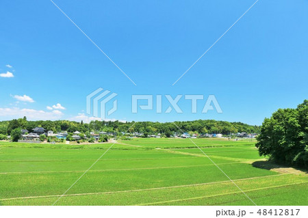 夏の青空 広大な田園風景 夏の青空 広大な田園風景 48412817