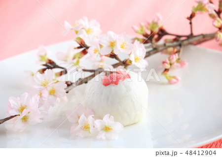 さくら饅頭とさくら(春がきた) さくら饅頭とさくら(春がきた) 48412904
