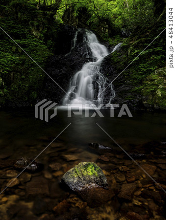 岩苔と梵音滝 宇津江四十八滝(岐阜県) 岩苔と梵音滝 宇津江四十八滝(岐阜県) 48413044