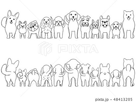 犬の前後ボーダー 小型犬　線画 48413205