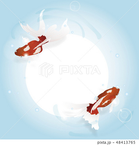 赤い金魚 48413765