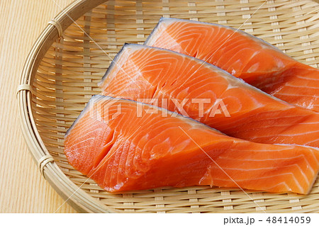 生鮭　切り身 48414059