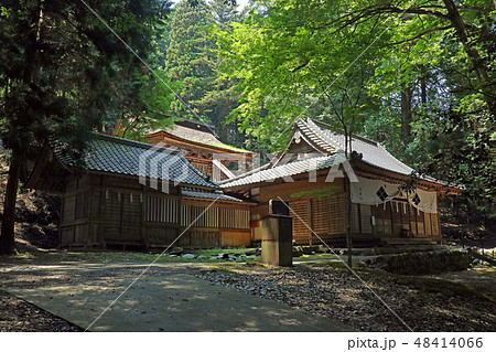 武田八幡神社 48414066