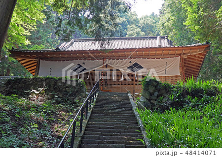 武田八幡神社 武田八幡神社 48414071