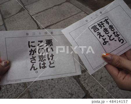 恋みくじ 恋みくじ 48414157