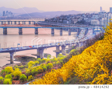 ウンボンサン 江辺北路 春 48414292