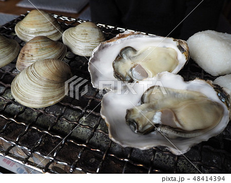 浜焼き 浜焼き 48414394