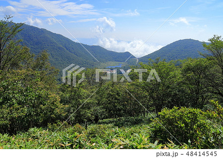 夏の群馬県 赤城山(地蔵岳)の大沼側の1600m付近から覚満淵と鳥居峠方面を見る 48414545