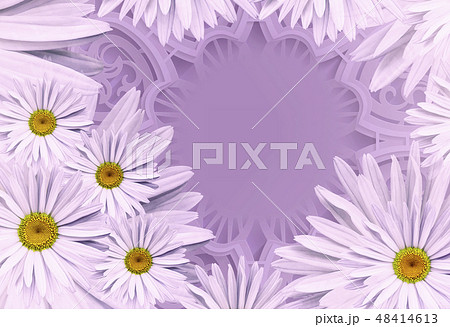 Postcard for the holiday.background white daisies Postcard for the holiday.background white daisies 48414613