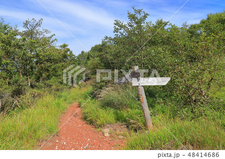 夏の赤城山 地蔵岳山頂の道標分岐(新坂平方面) 48414686