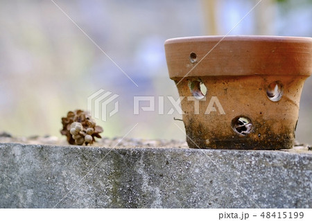 Planting a garden Planting a garden 48415199