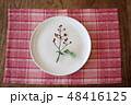 ランチョンマットと白いお皿 48416125
