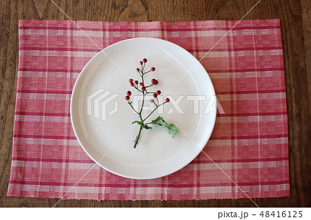 ランチョンマットと白いお皿 48416125