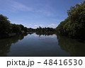 水面に映る青空 48416530