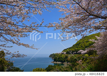 湯の児チェリーライン 48416820