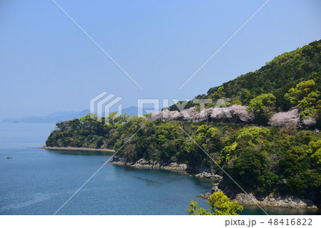 湯の児チェリーライン 48416822