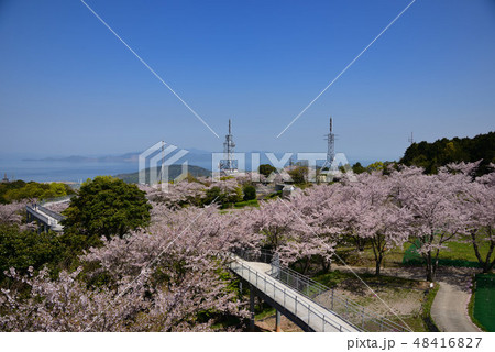 中尾山公園 48416827