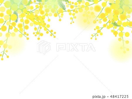 ミモザの背景 48417225