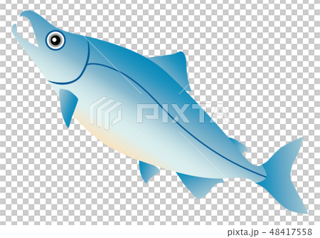 三文魚 三文魚 48417558