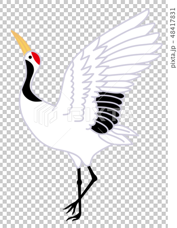 鶴 鶴 48417831