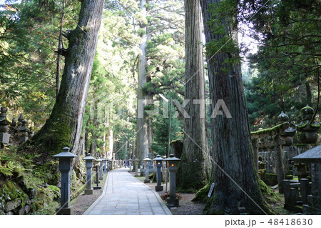 和歌山 高野山 和歌山 高野山 48418630