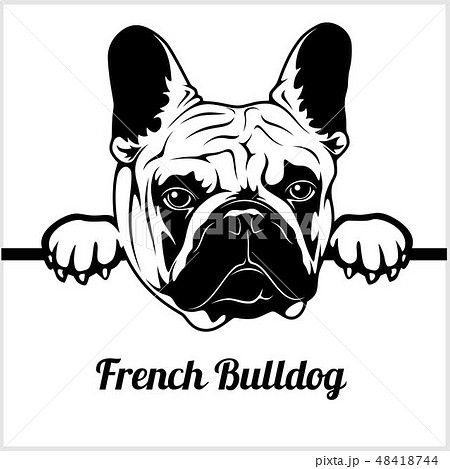 french bulldog head silhouette