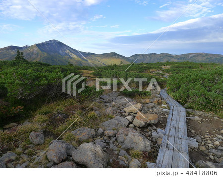 雲ノ平　木道 48418806
