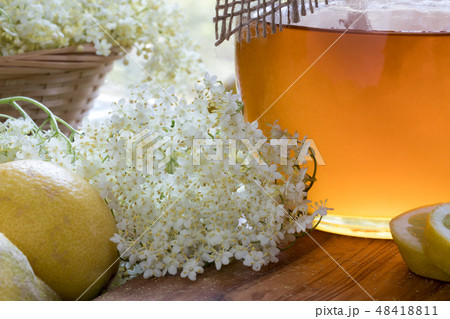 Ingredients for making elder flower sirup Ingredients for making elder flower sirup 48418811
