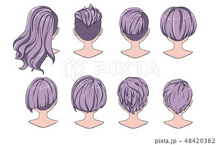 Beautiful hairstyle of woman hair. Rear view. - Stock Illustration  [48420362] - PIXTA