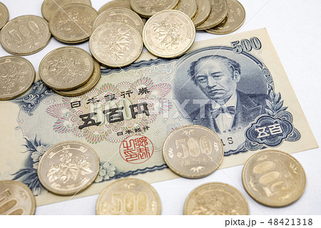 【五百円札　五百円玉】 48421318