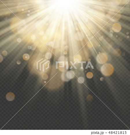 Light effect with glitter, sequins. Shining rays with bokeh. Sun particles and sparks with a 48421815