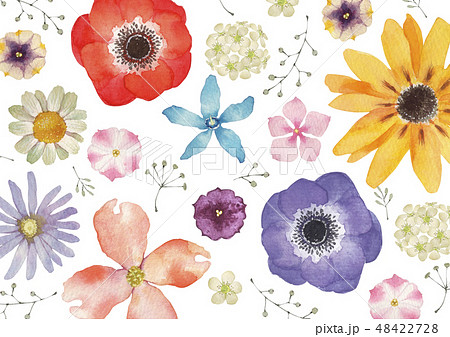 春の花 夏の花 背景 テキスタイル 水彩 イラストのイラスト素材