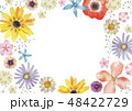 春の花 夏の花　背景 フレーム　水彩 イラスト 48422729