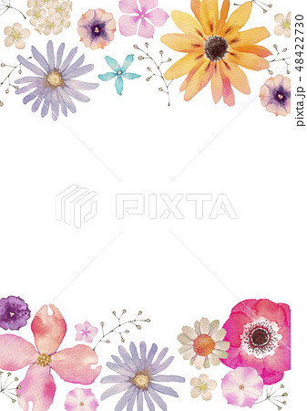 春の花 夏の花 背景 フレーム 水彩 イラストのイラスト素材 48422730 Pixta