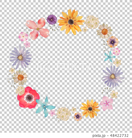 春天的花朵夏天的花朵背景框架水彩插圖 插圖素材 圖庫