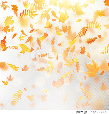 Effect of autumn falling leaves layer with shallow DOF blur. Autumnal foliage fall template. Warm Effect of autumn falling leaves layer with shallow DOF blur. Autumnal foliage fall template. Warm 48422753
