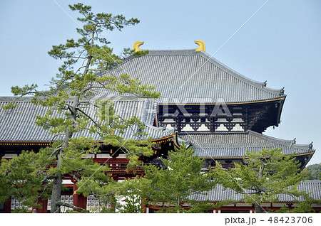 世界遺産　国宝　東大寺大仏殿 48423706