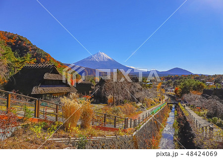 【山梨県】紅葉の西湖いやしの里根場 48424069