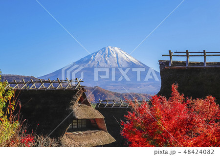 【山梨県】紅葉の西湖いやしの里根場 【山梨県】紅葉の西湖いやしの里根場 48424082